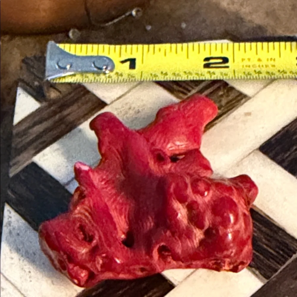 Red coral piece for Jewelry project I have had this for forty years